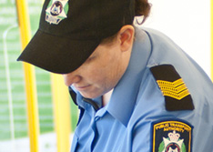 Fares and other Revenue