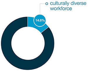 Culturally diverse workforce