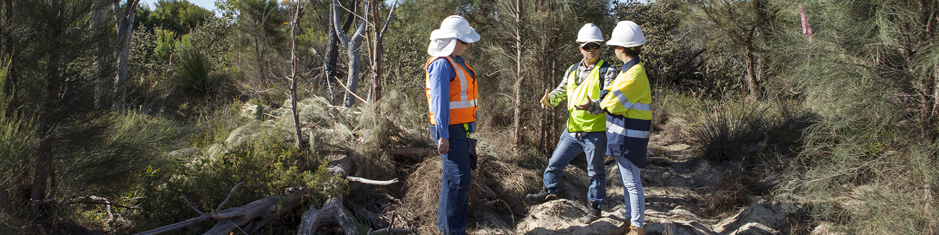 Environmental Officers out in the field 