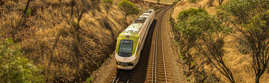 Transwa road coach