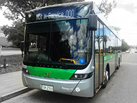 Transperth bus